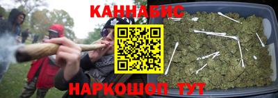 прущие грибы Донецк