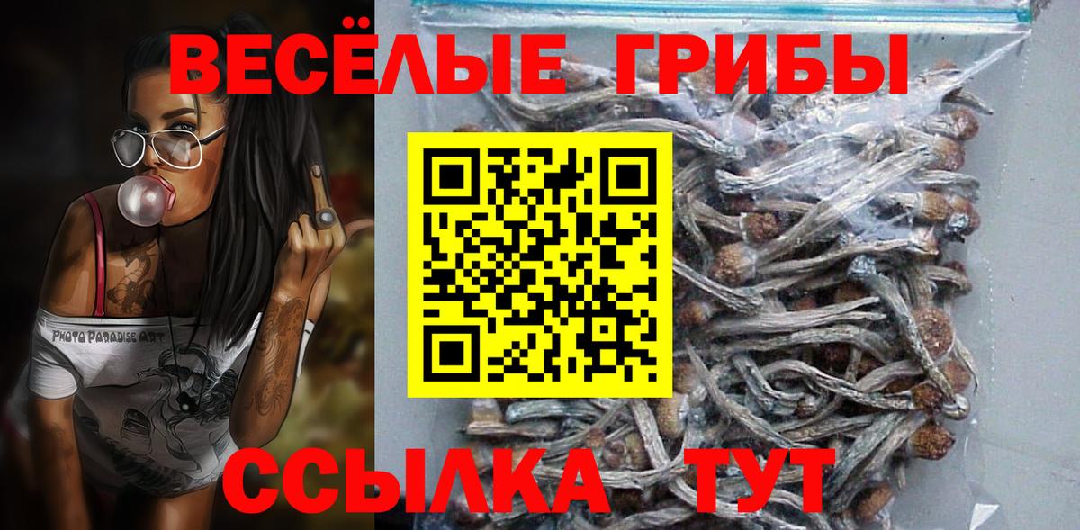 Галлюциногенные грибы MAGIC MUSHROOMS  Псилоцибиновые грибы ЛСД  Вход с VPN  Лесозаводск 