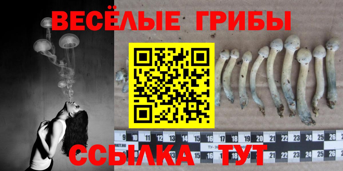Псилоцибиновые грибы GOLDEN TEACHER Лесозаводск